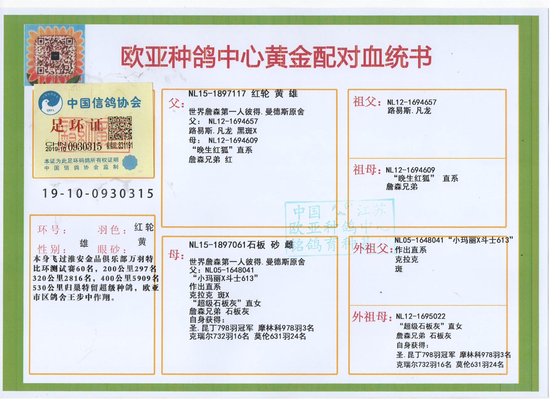 信鸽在线拍卖平台 - 中国信鸽信息网