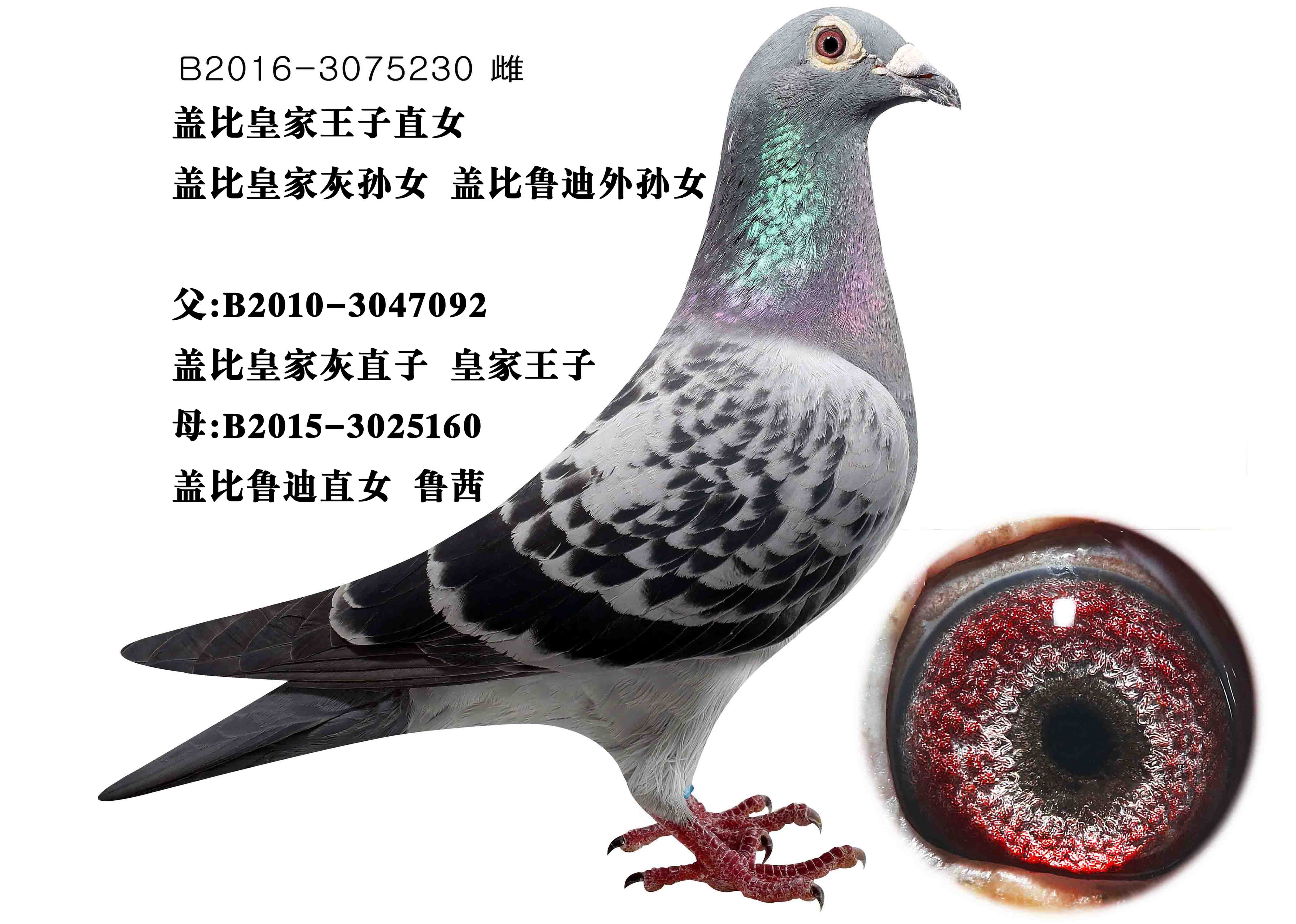 观看竞标过程 运输及特别提示 运输费用:天气逐渐变热