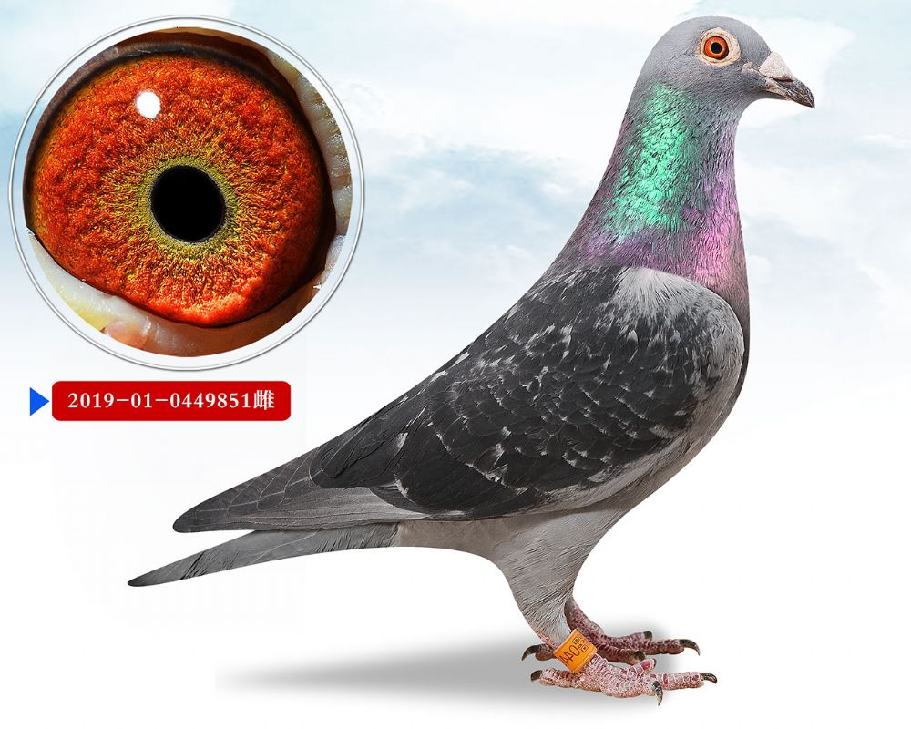 【不能直达的,请将中转费用付给当地车站或机场】