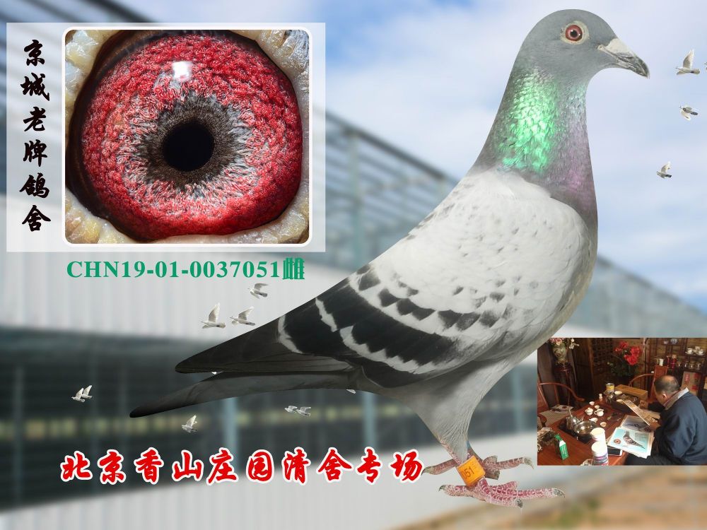 观看竞标过程 运输及特别提示 运输费用:与竞拍款一并支付,汽