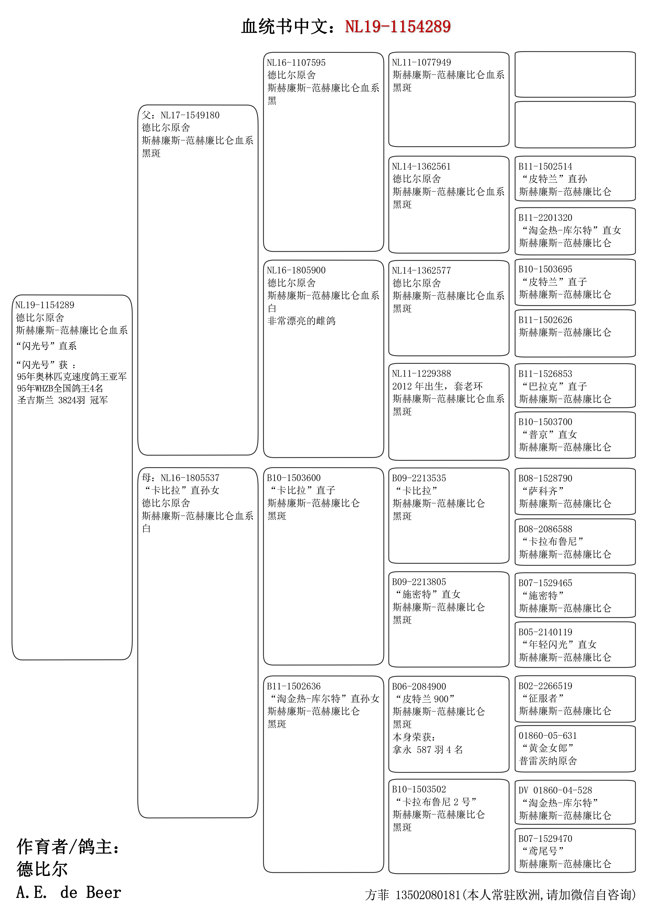 信鸽在线拍卖平台 - 中国信鸽信息网