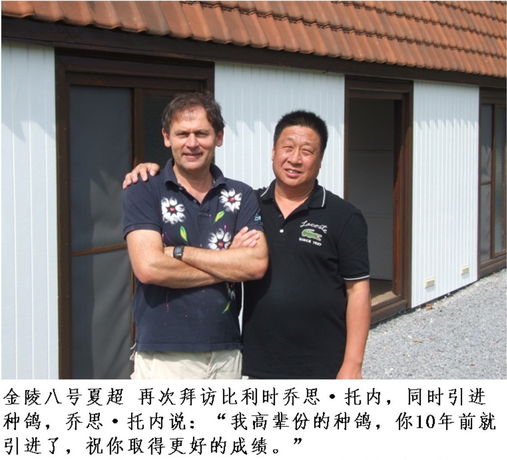 信鸽在线拍卖平台 - 中国信鸽信息网