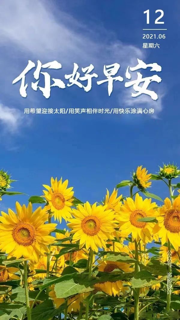 商品首 页  铭 鸽  新鸽上架  推荐铭鸽  定价鸽  在线拍鸽 黄金配对
