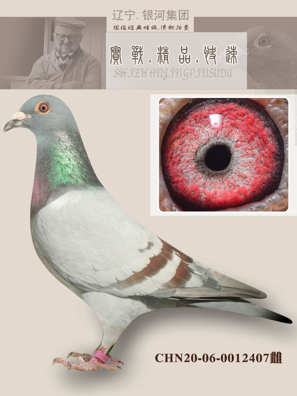 观看竞标过程 运输及特别提示 大巴,客车:100-300元