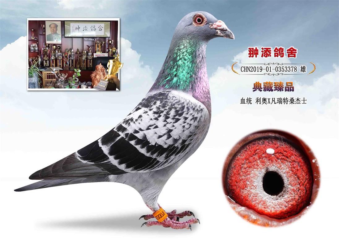 利奥x凡瑞特桑杰士