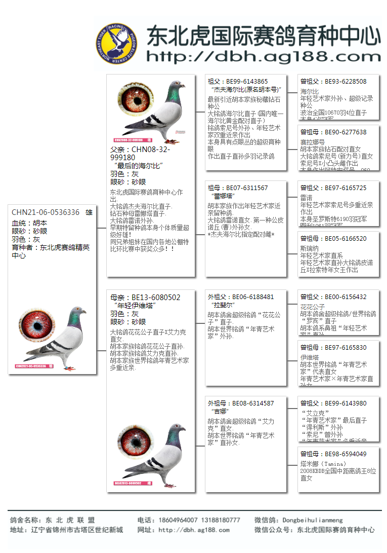 胡本海尔比图片