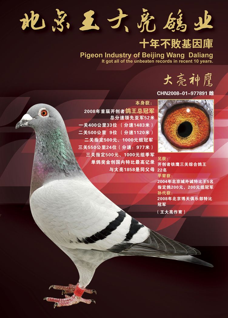 点击查看此商品大图片