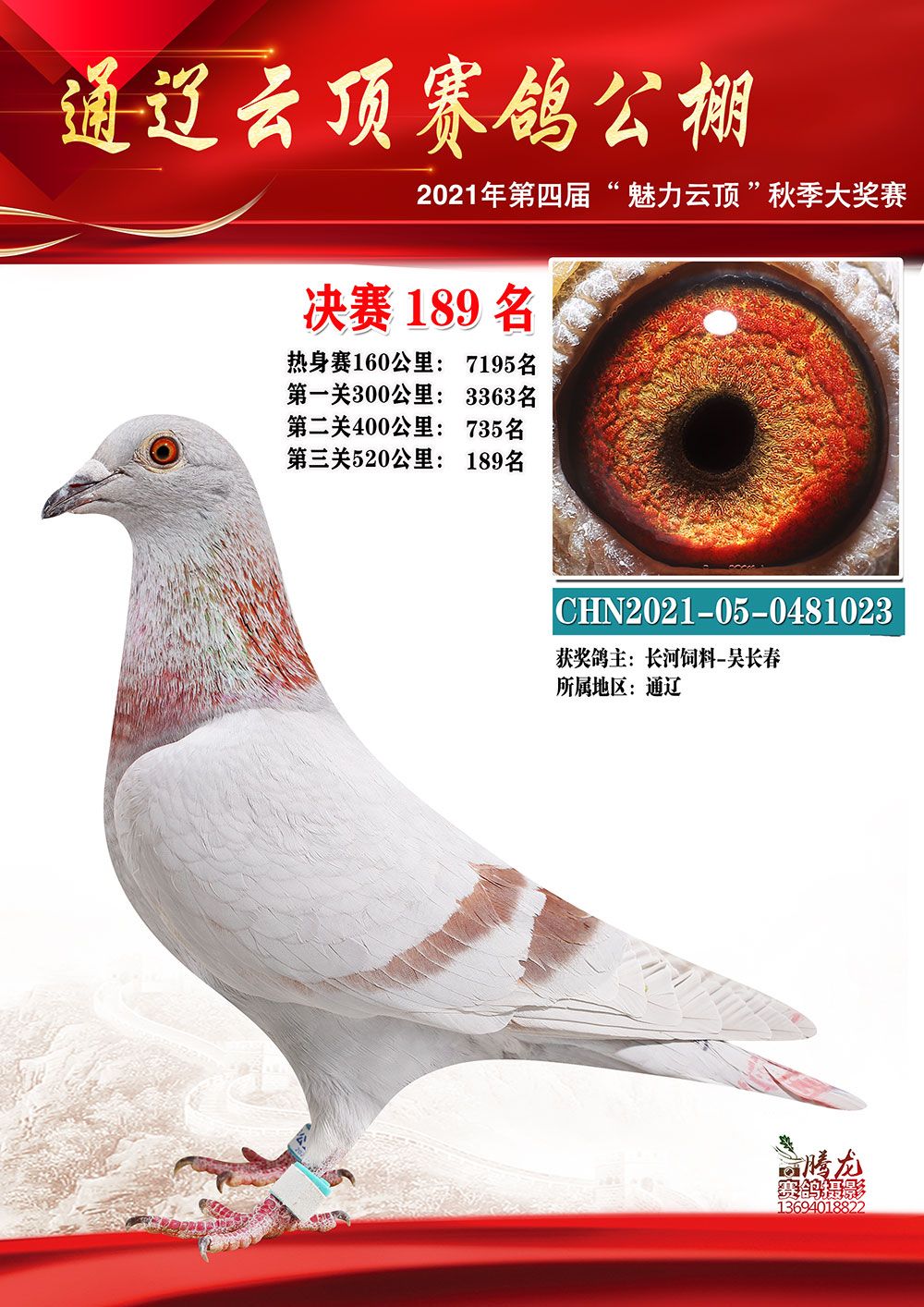 通辽云顶决赛200名 - 信鸽现场拍卖平台 - 中国信鸽信息网