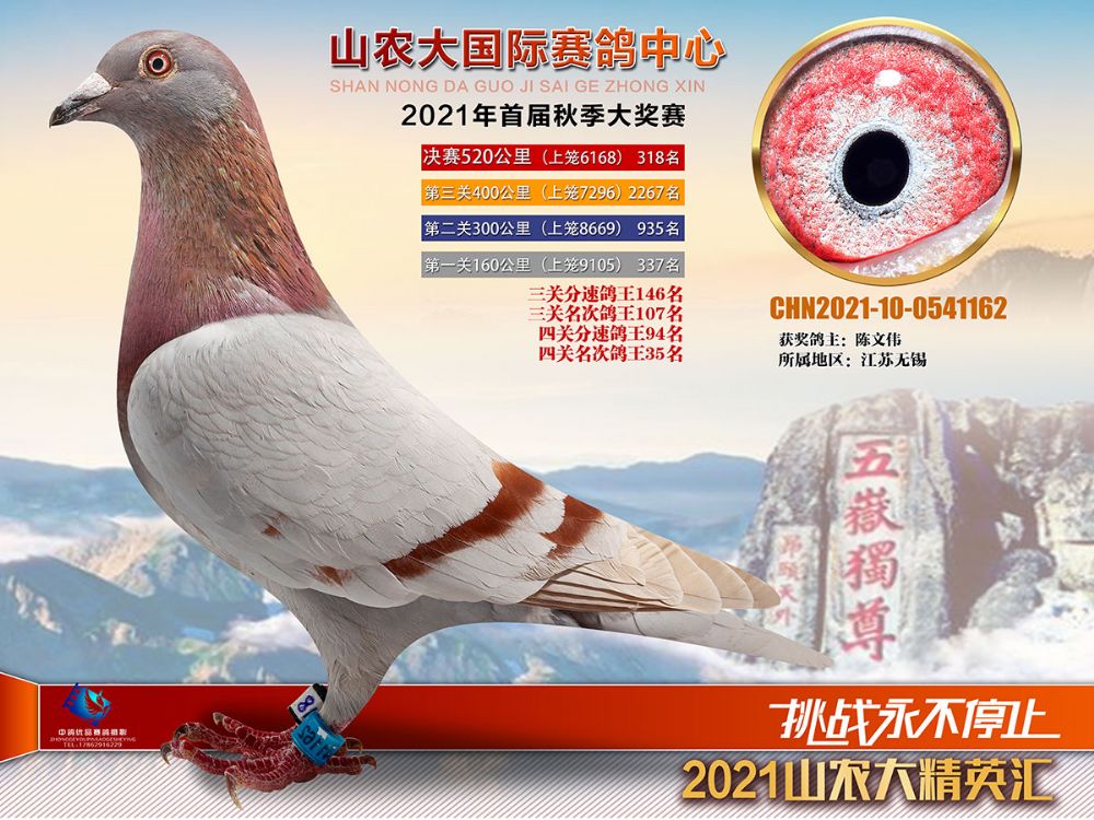 山农大国际赛鸽中心秋棚决赛301400名