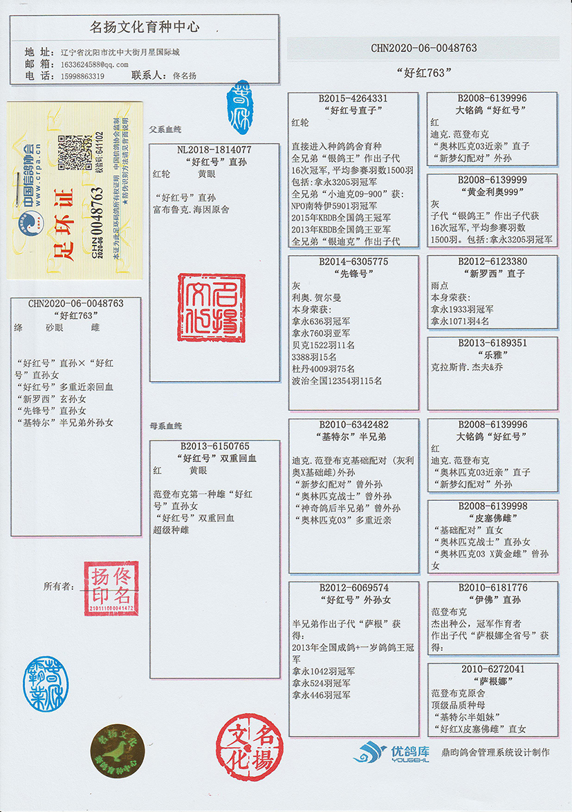 信鸽在线拍卖平台 - 中国信鸽信息网