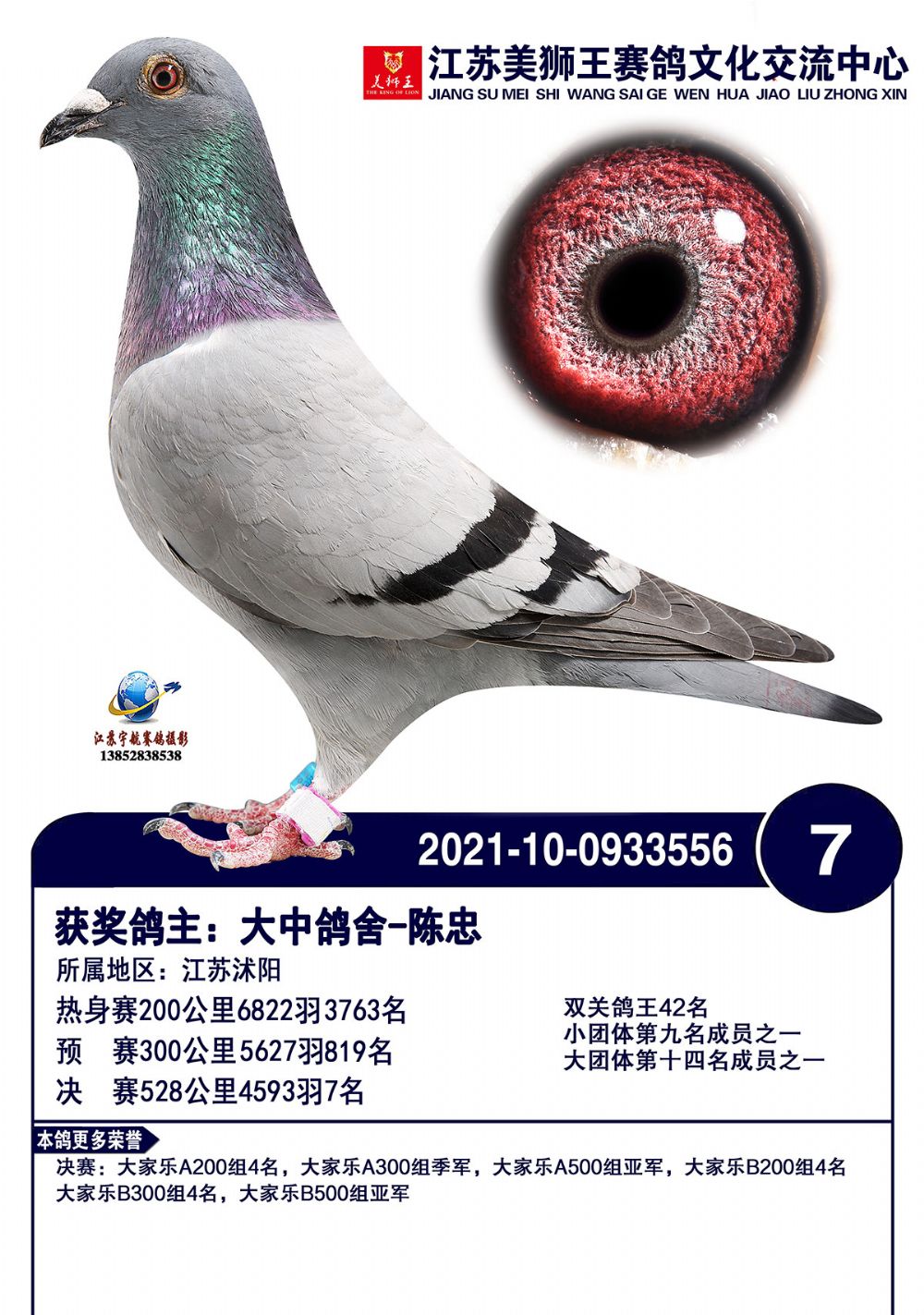 江苏美狮王决赛7名