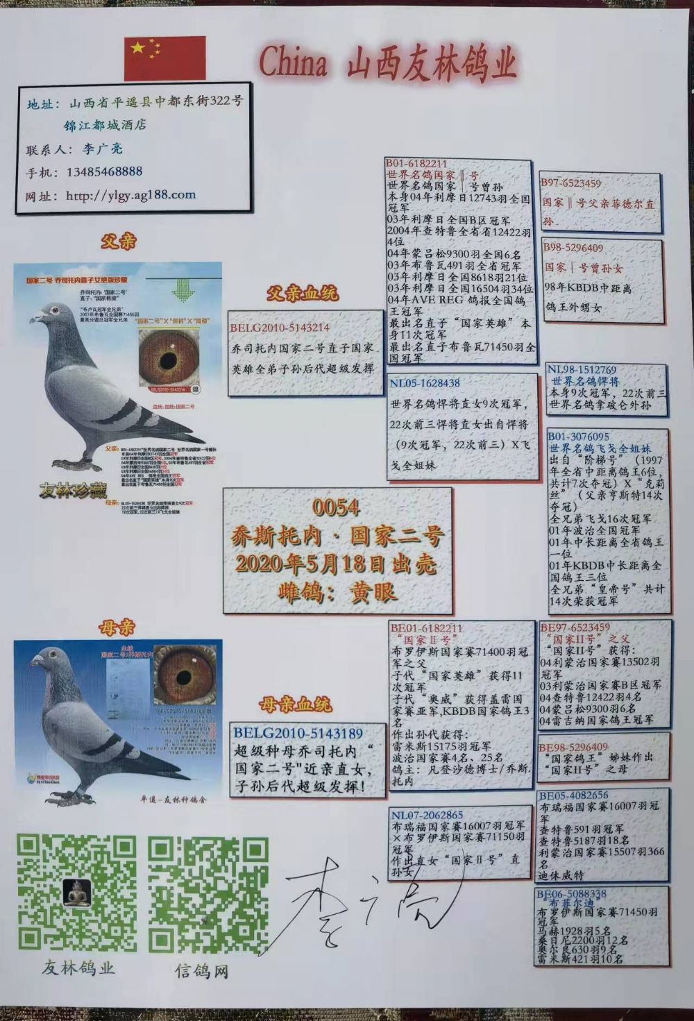 乔斯托内国家二号0054雌-信鸽在线拍卖平台-中国信鸽信息网