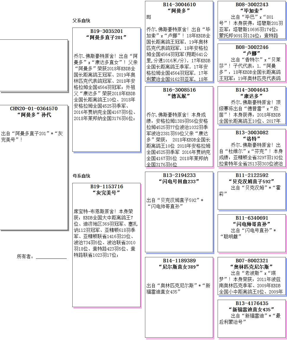 阿曼多孙代.0364570-信鸽在线拍卖平台-中国信鸽信息网