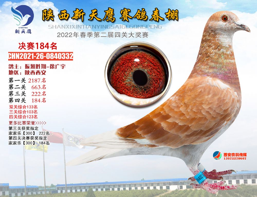 陕西新天鹰春棚2022年春决赛101200名