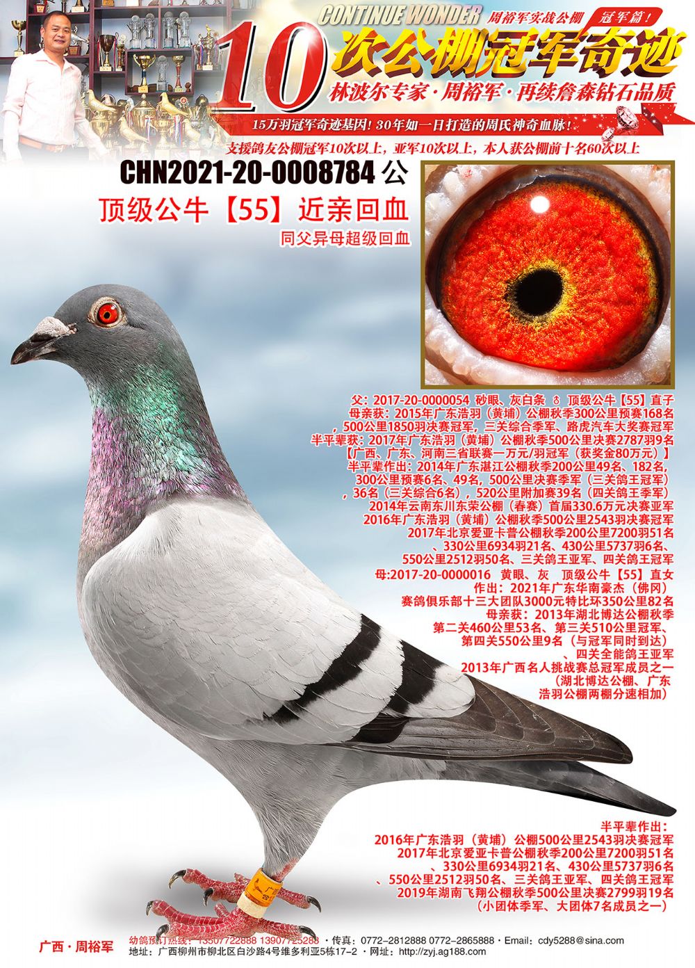 广西周裕军 - 中信网铭鸽展厅