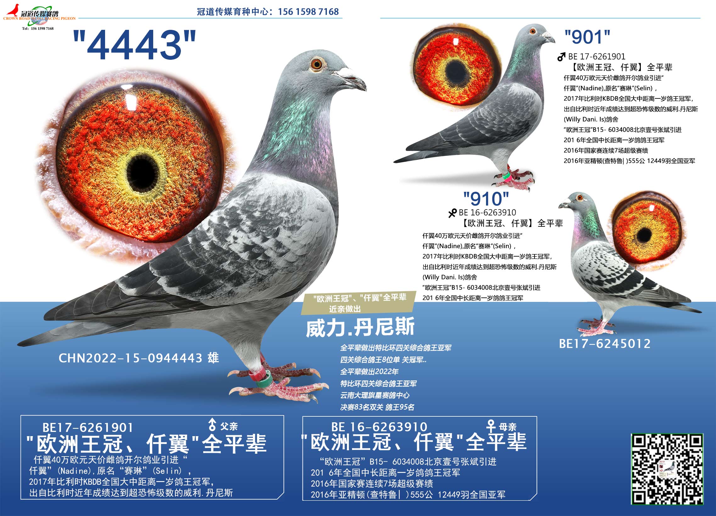 冠道传媒 - 中信网铭鸽展厅