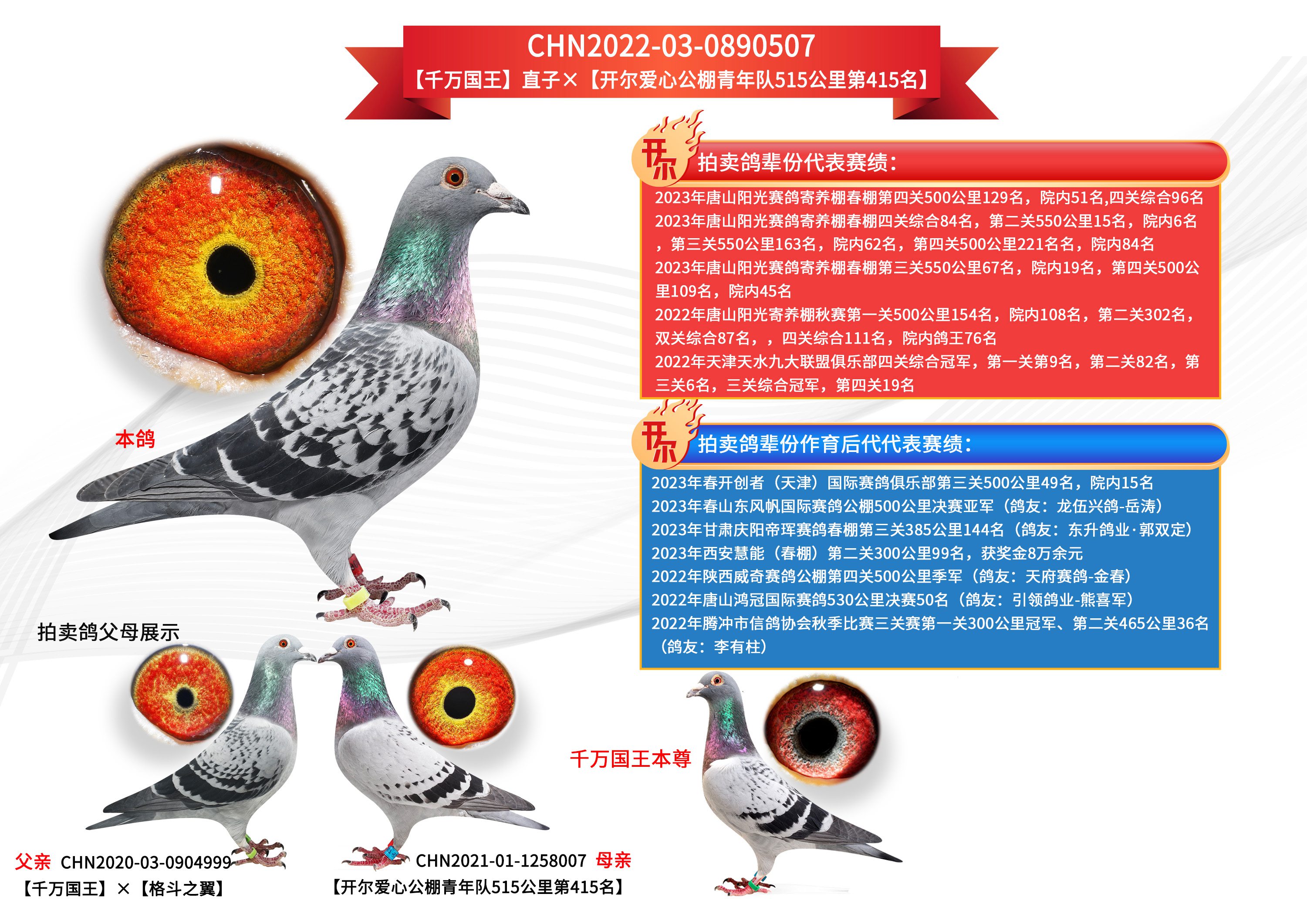 开尔鸽业 - 中信网铭鸽展厅