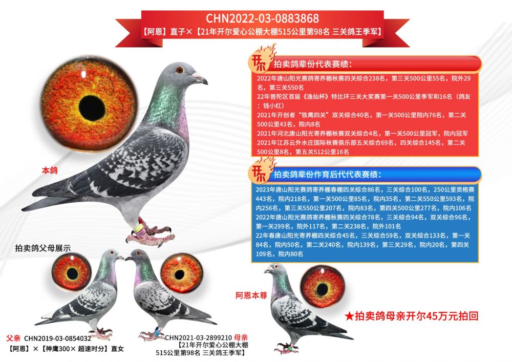 开尔鸽业 - 中信网铭鸽展厅