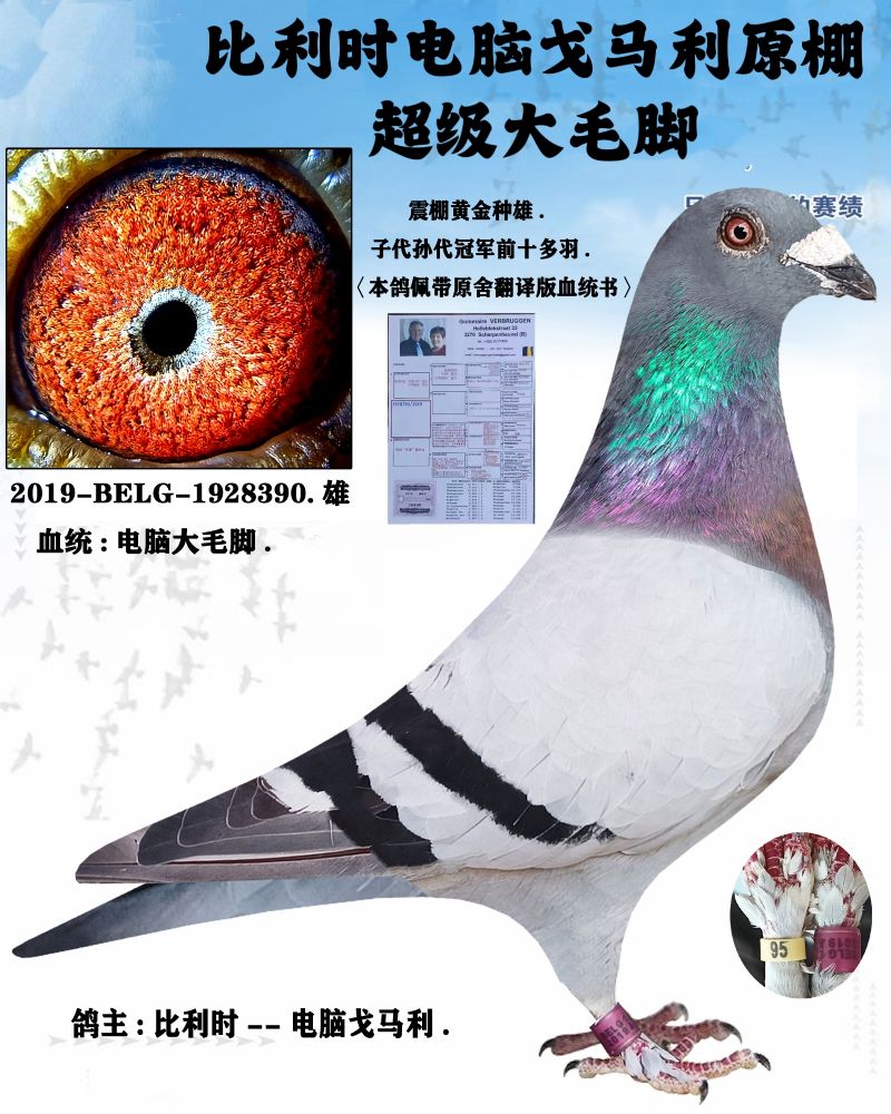 �Ÿ���������ƽ̨ - �й��Ÿ���Ϣ��