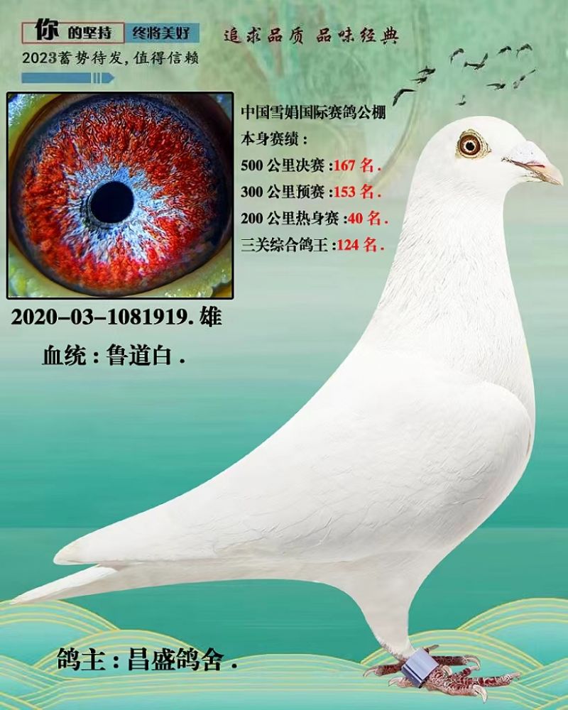 汇金信鸽传媒 - 中信网铭鸽展厅