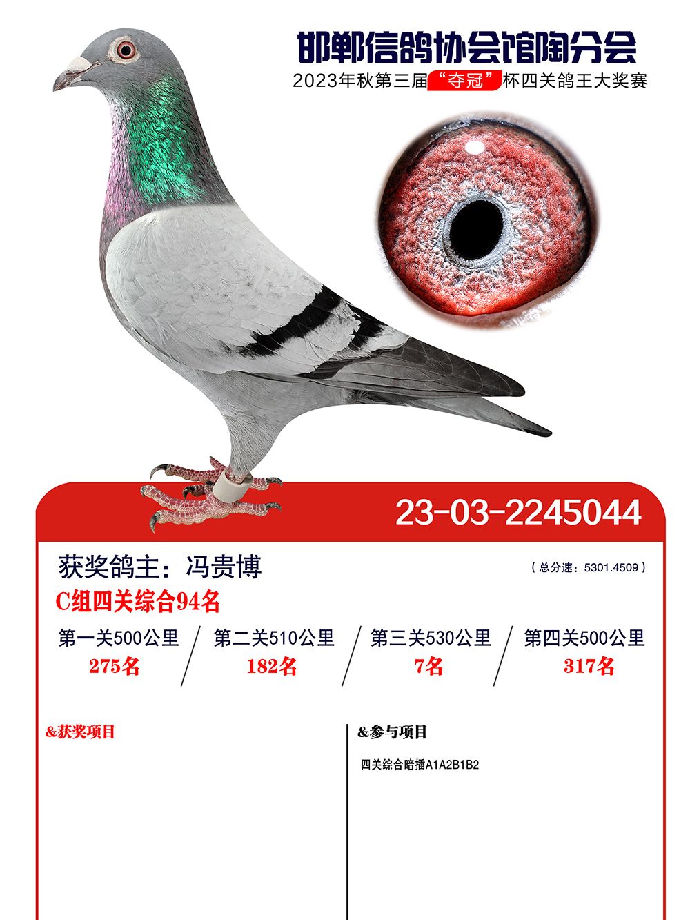 四关综合C组94名-信鸽在线拍卖平台-中国信鸽信息网