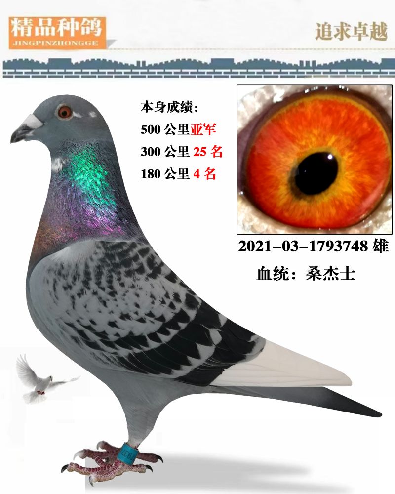 汇金信鸽传媒 - 中信网铭鸽展厅