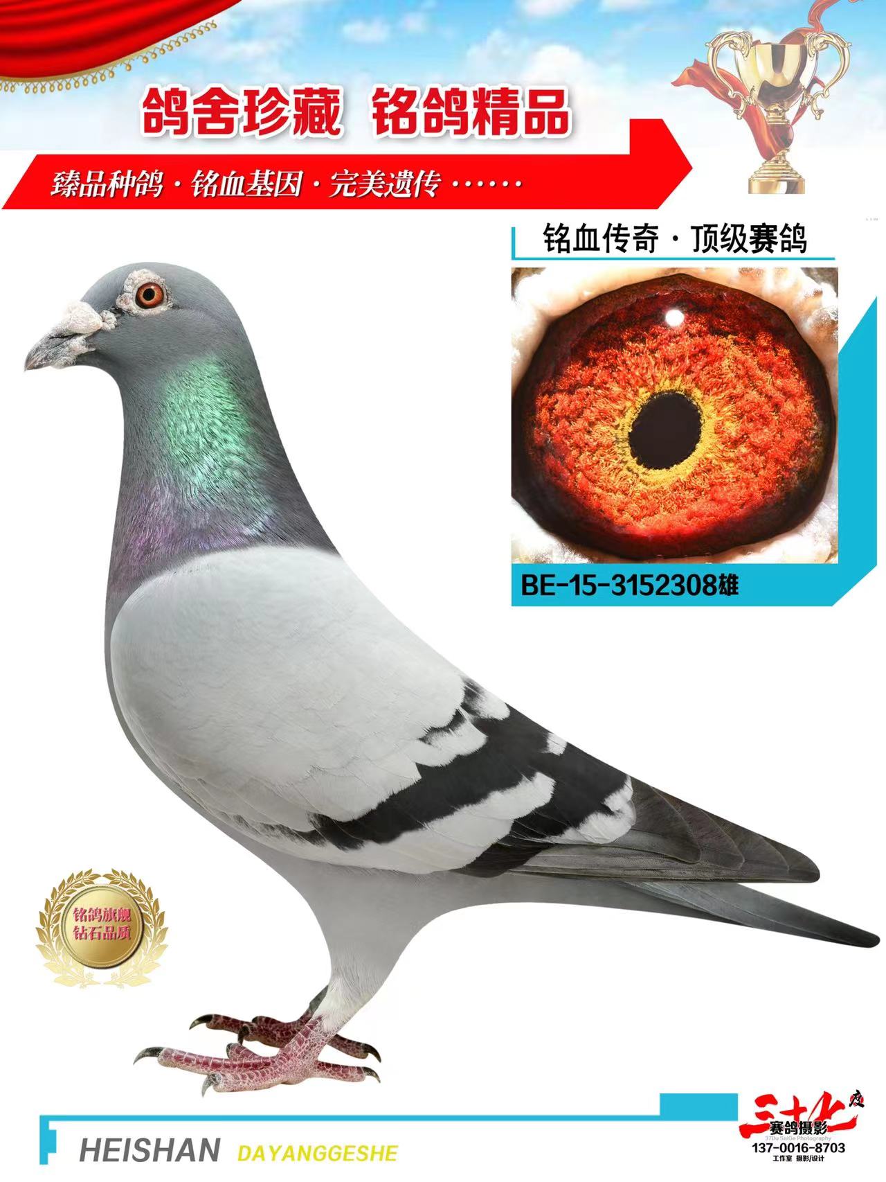 灰鸽子和radmin的不同之处