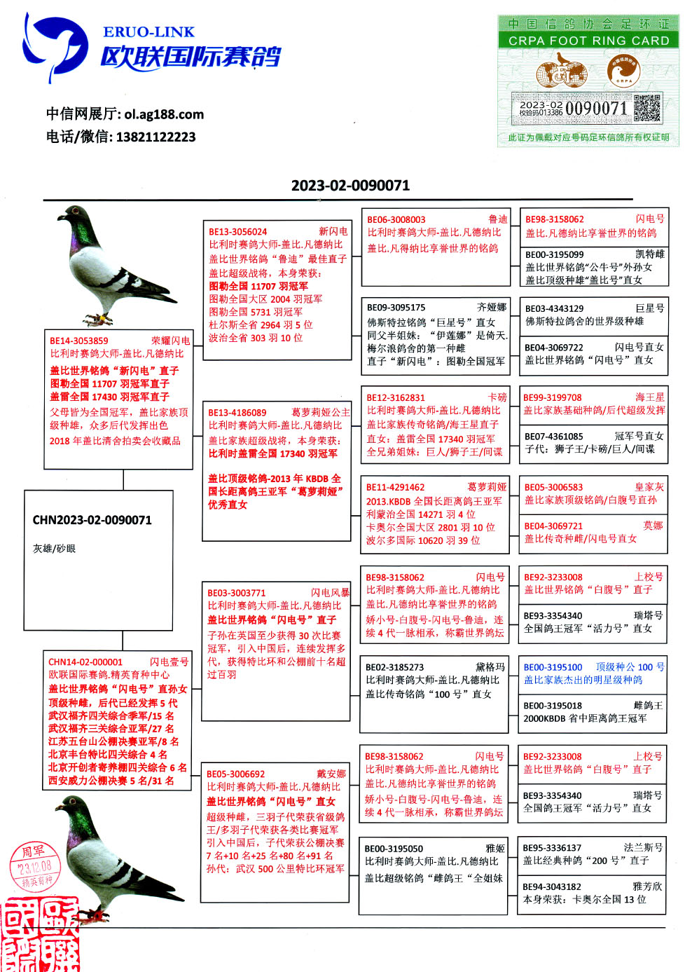 信鸽在线拍卖平台 - 中国信鸽信息网