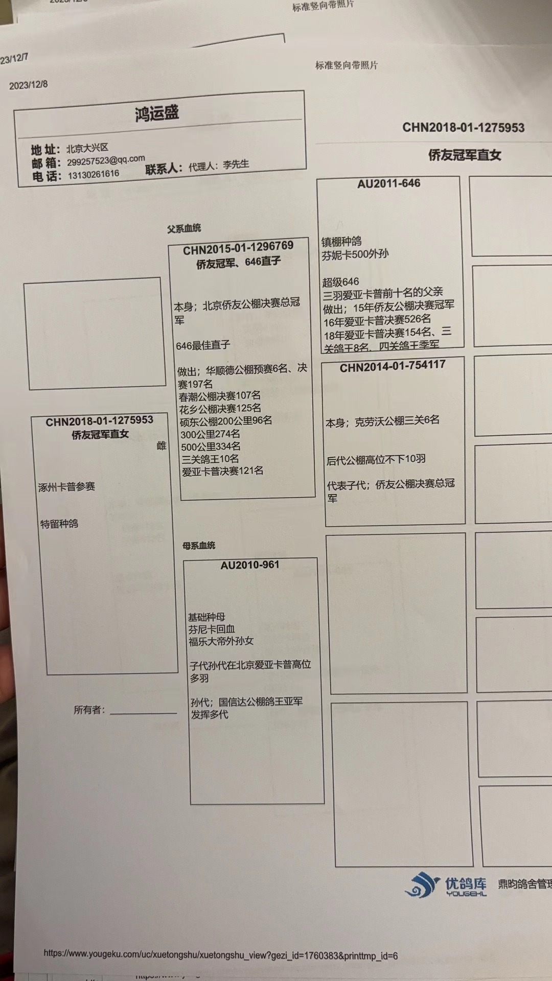 信鸽在线拍卖平台 - 中国信鸽信息网