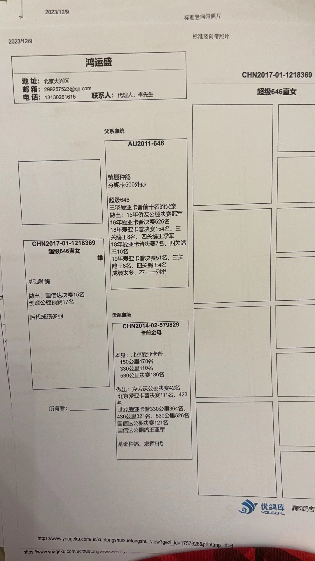 信鸽在线拍卖平台 - 中国信鸽信息网