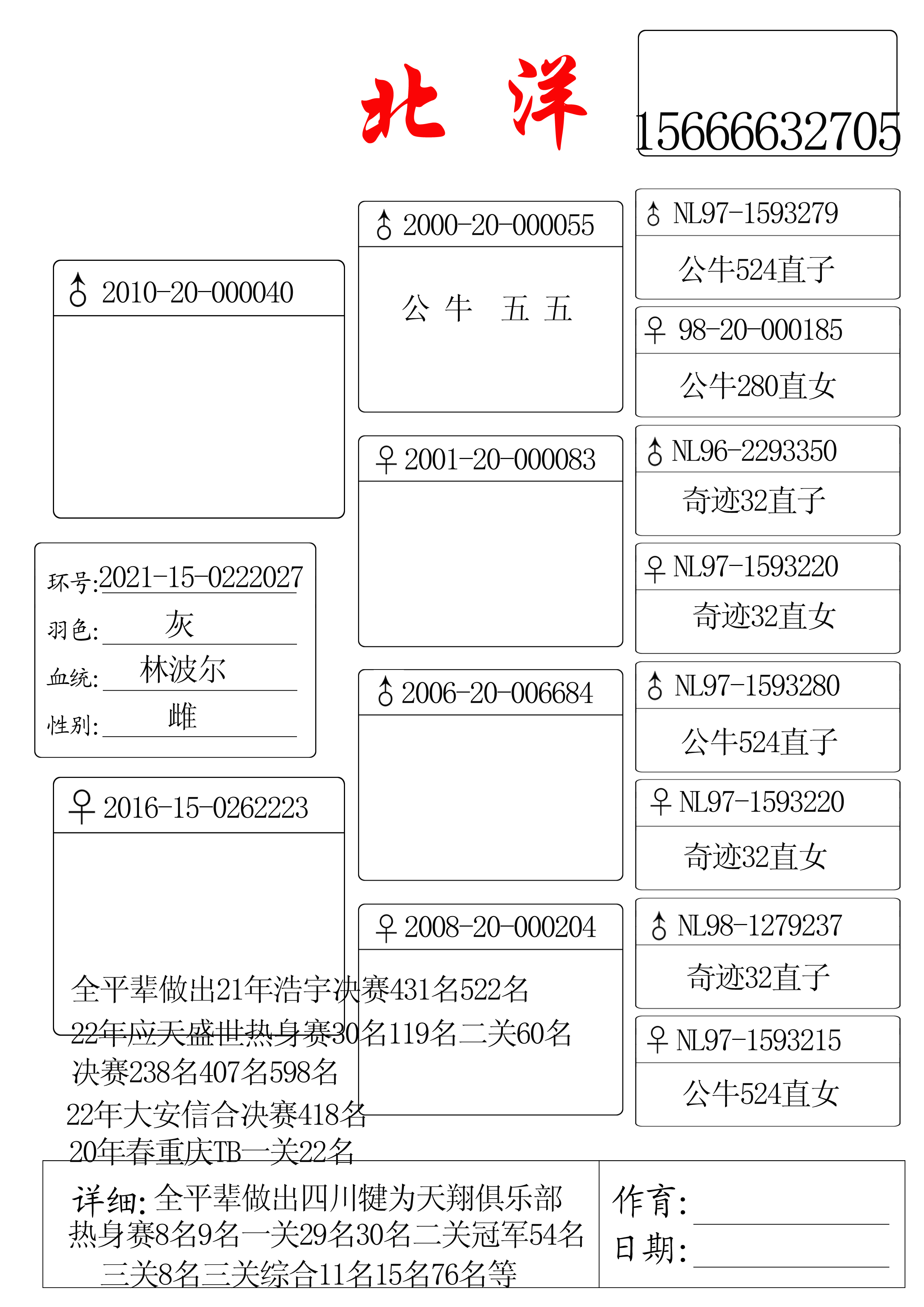 本舍现有林波尔鸽系最高代种鸽数十羽 欢迎喜欢林波尔鸽系的鸽友交