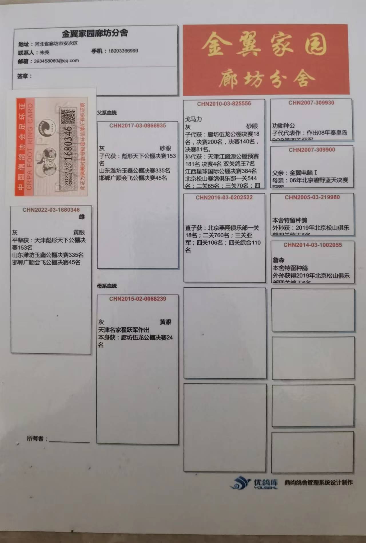 金翼家园廊坊分舍 - 中信网铭鸽展厅