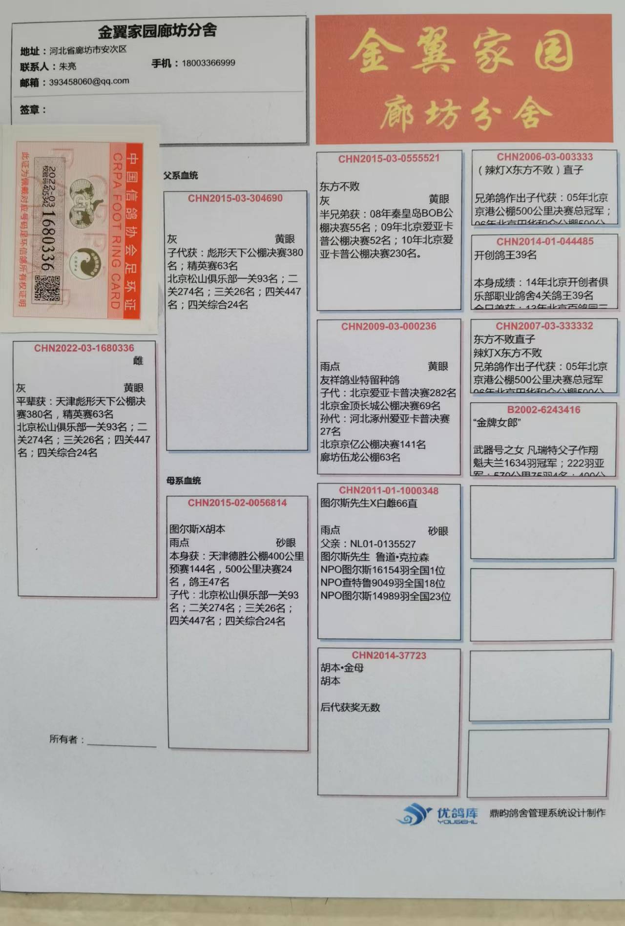 金翼家园廊坊分舍 - 中信网铭鸽展厅