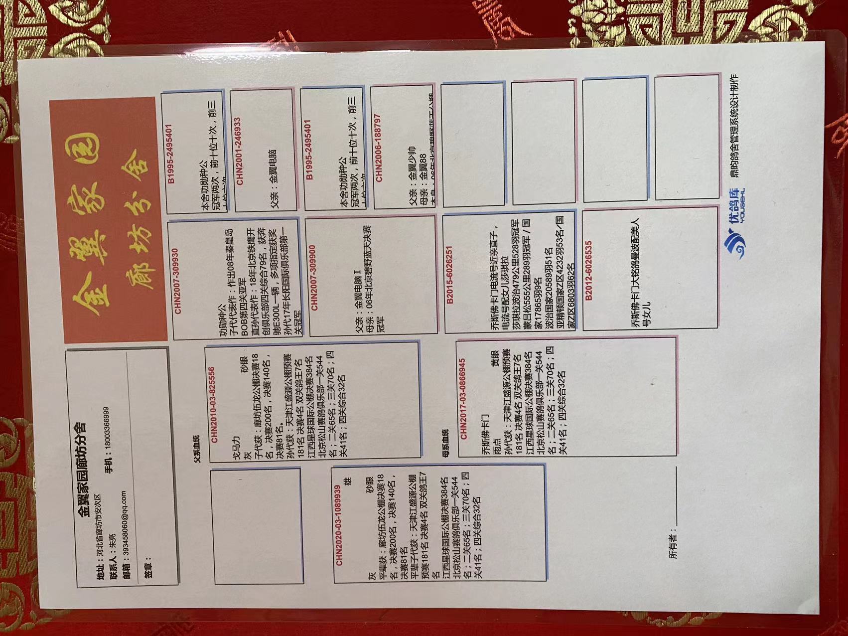 金翼家园廊坊分舍 - 中信网铭鸽展厅