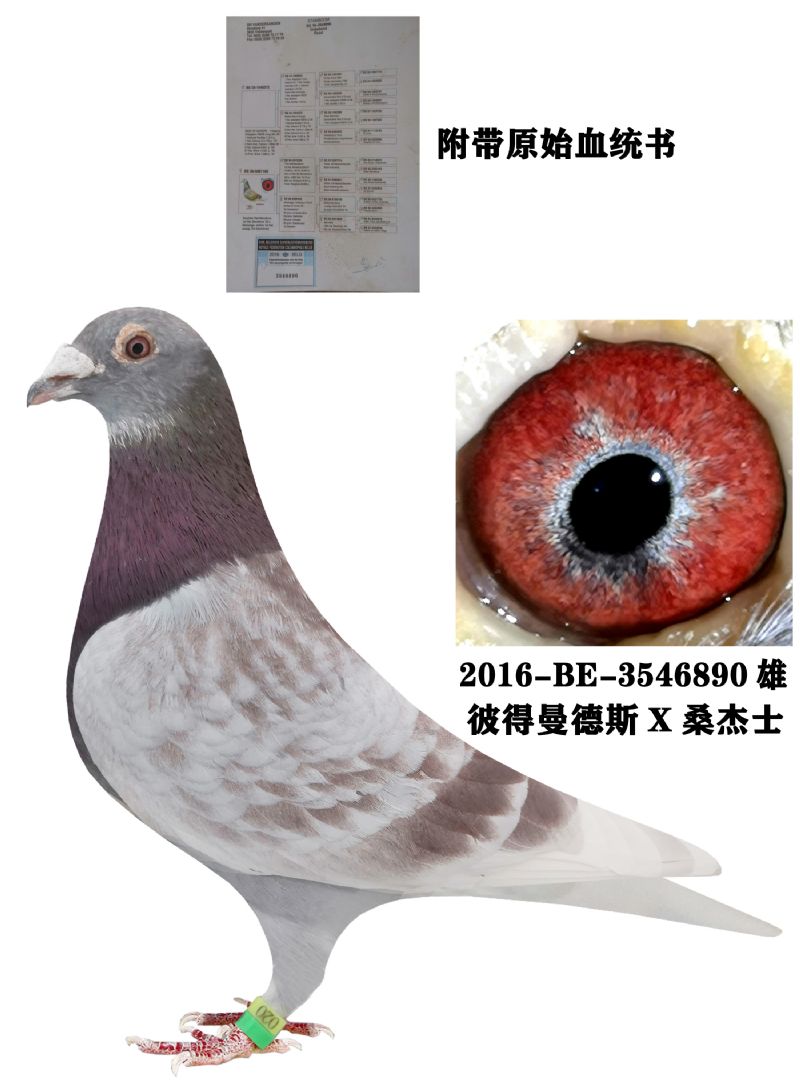 汇金信鸽传媒 - 中信网铭鸽展厅