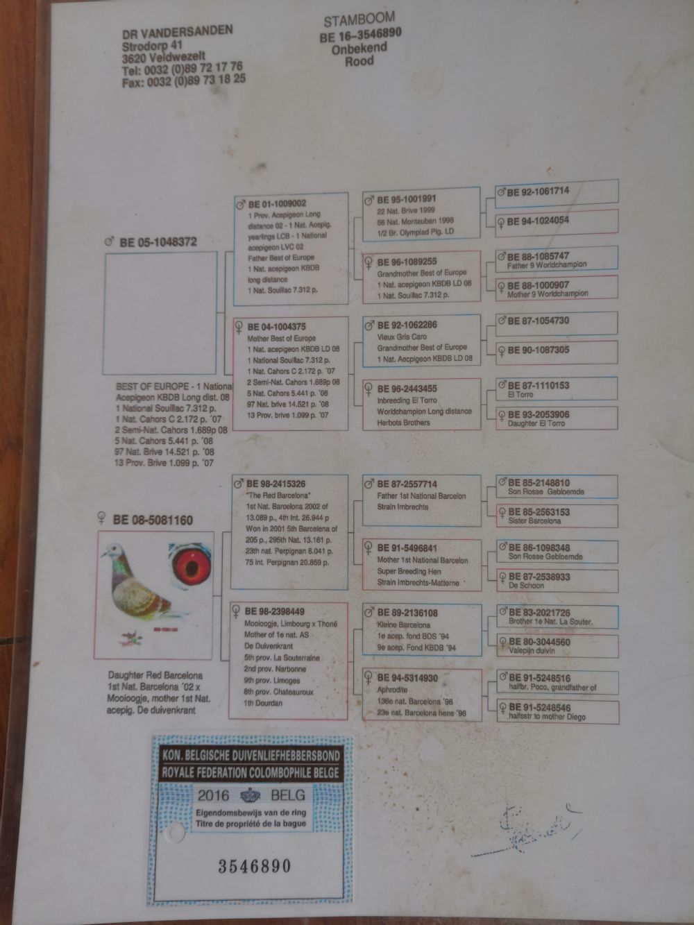 汇金信鸽传媒 - 中信网铭鸽展厅