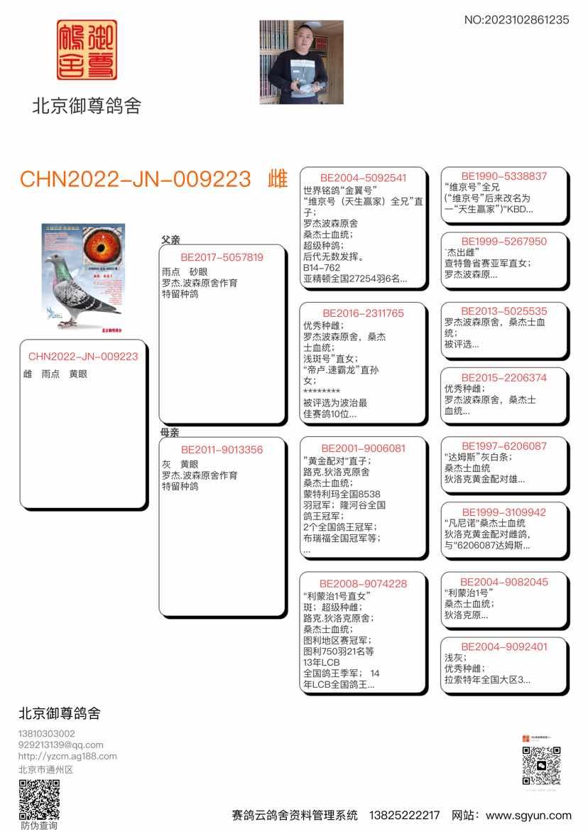 北京御尊信鸽文化传媒 - 中信网铭鸽展厅