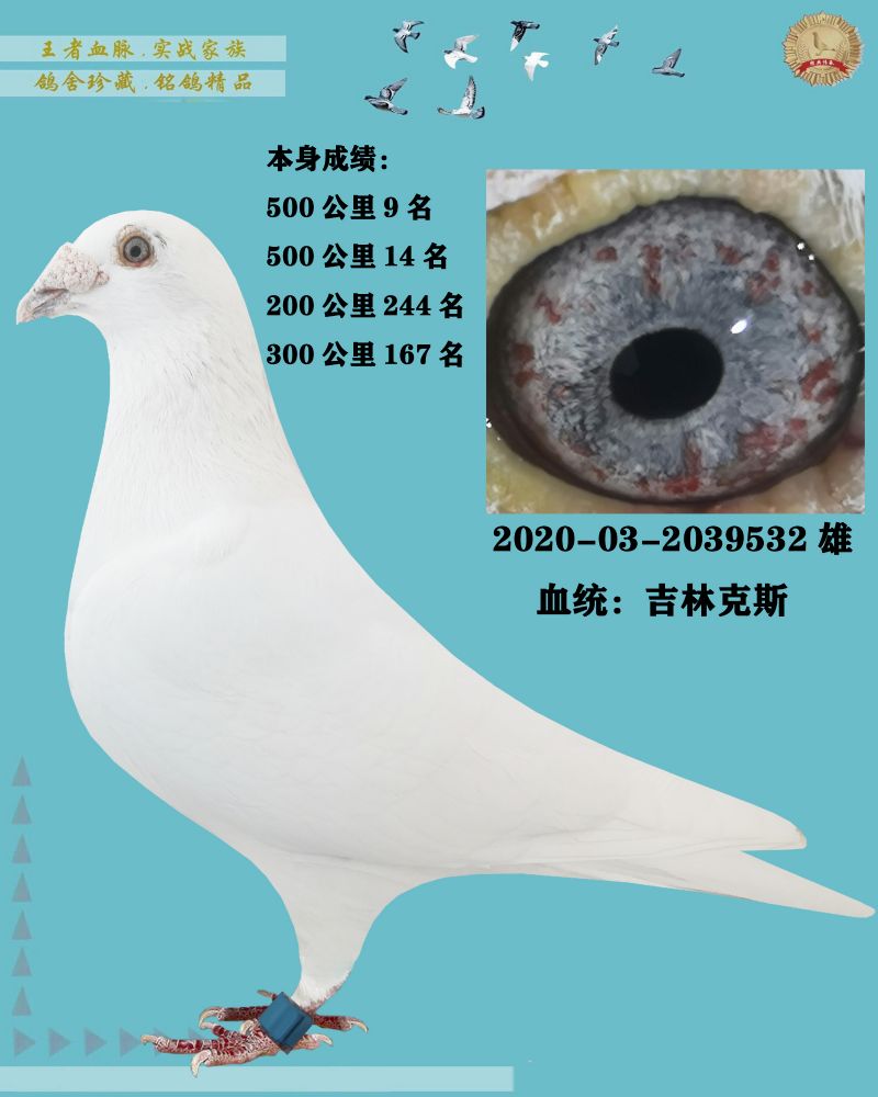 汇金信鸽传媒 - 中信网铭鸽展厅