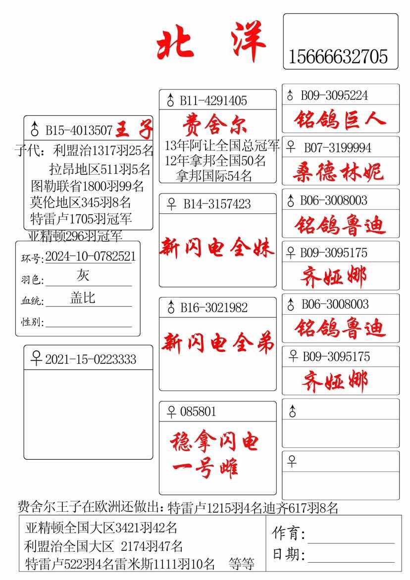 信鸽足环号查询搜鸽网图片