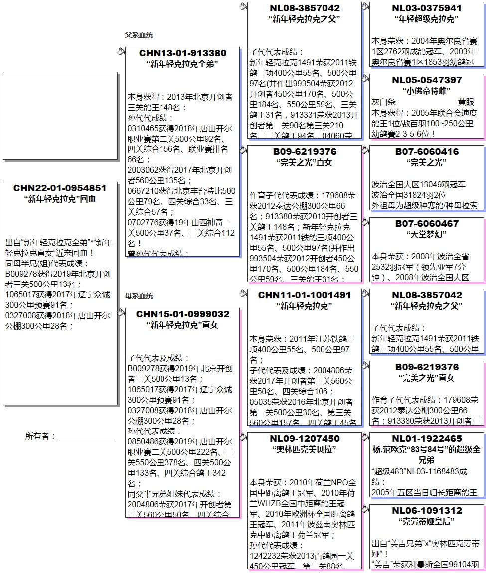 中国长城鸽业图片