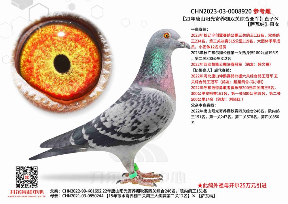 开尔鸽业 - 中信网铭鸽展厅