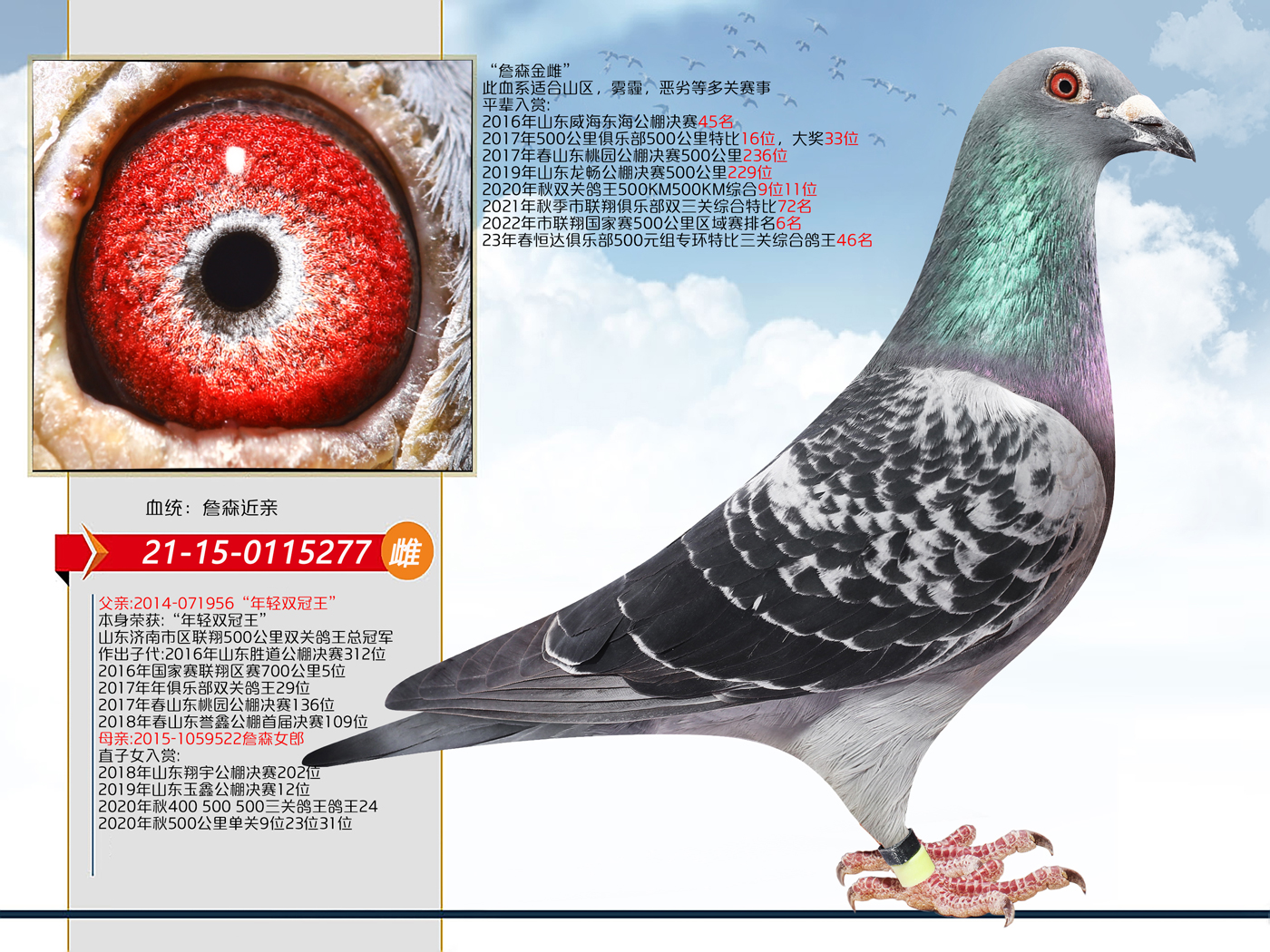 当前位置>在线拍鸽首页>拍鸽专题>查看商品1400_1050