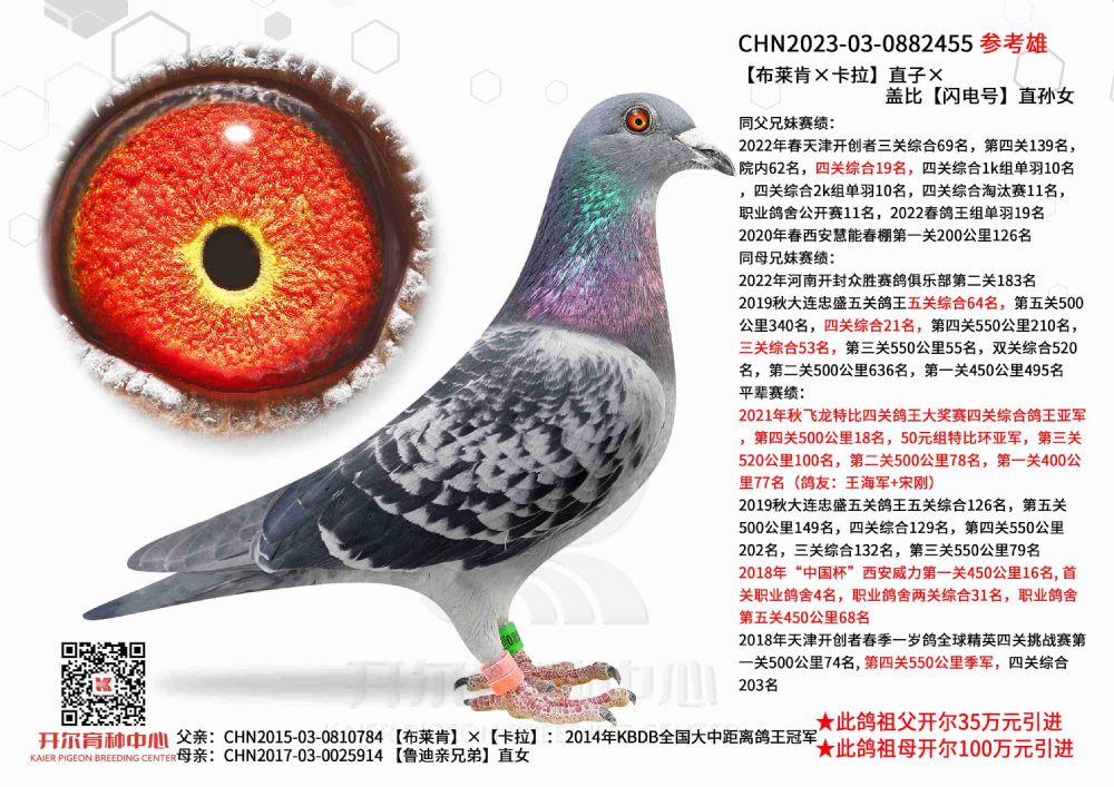 开尔鸽业 - 中信网铭鸽展厅