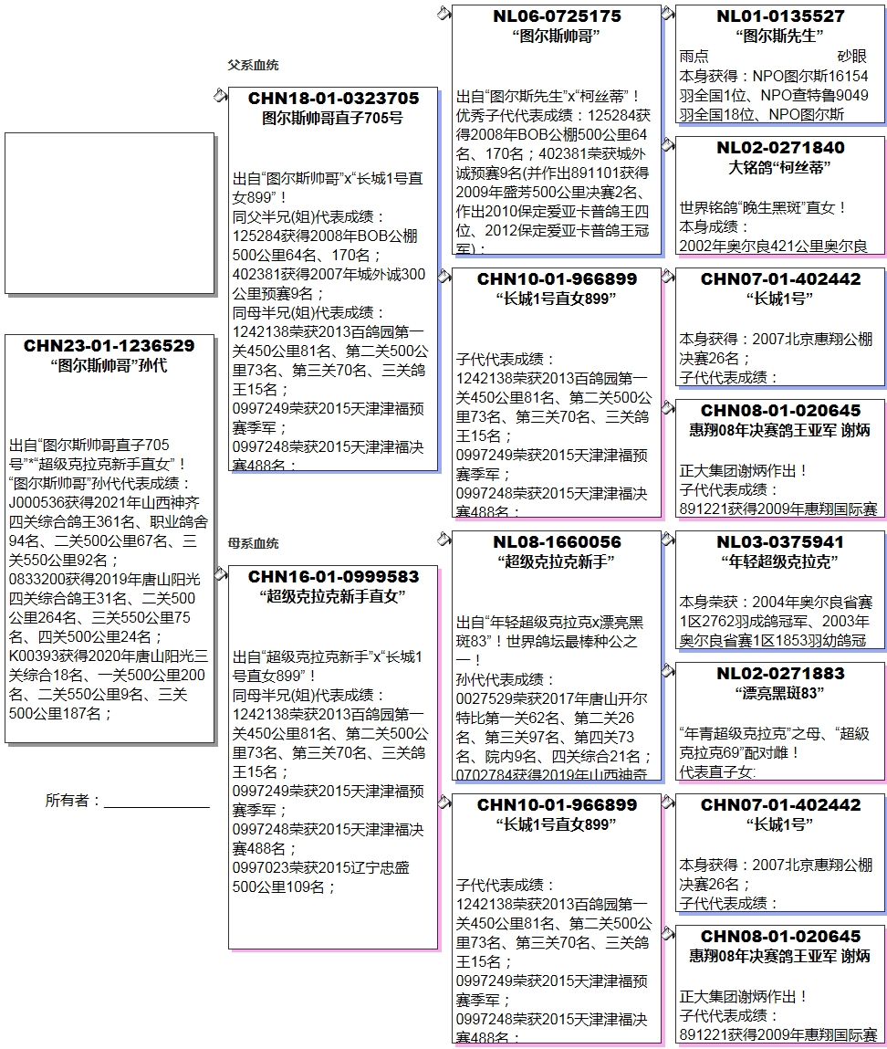 长城鸽业 - 中信网铭鸽展厅