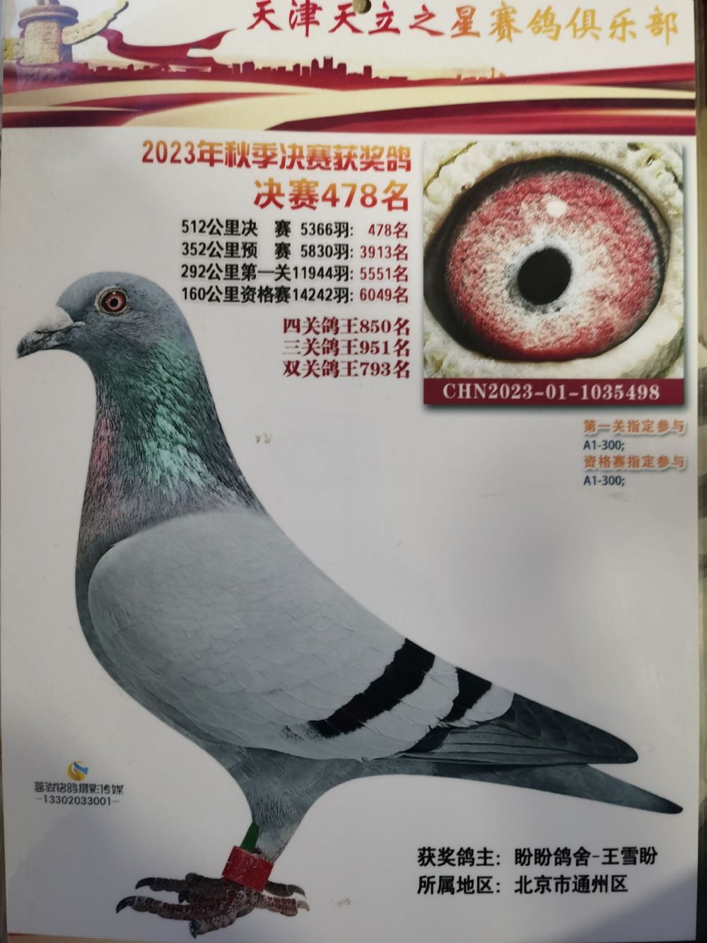 北京信鸽文化传媒 - 中信网铭鸽展厅