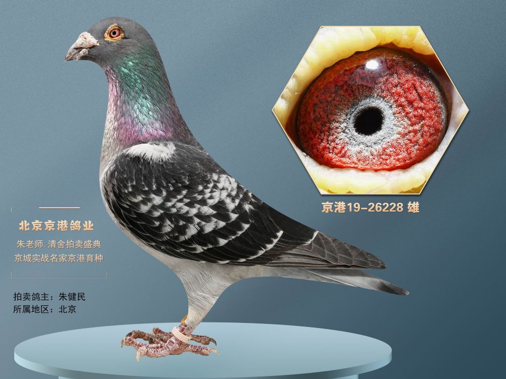 兄弟信鸽传媒 - 中信网铭鸽展厅