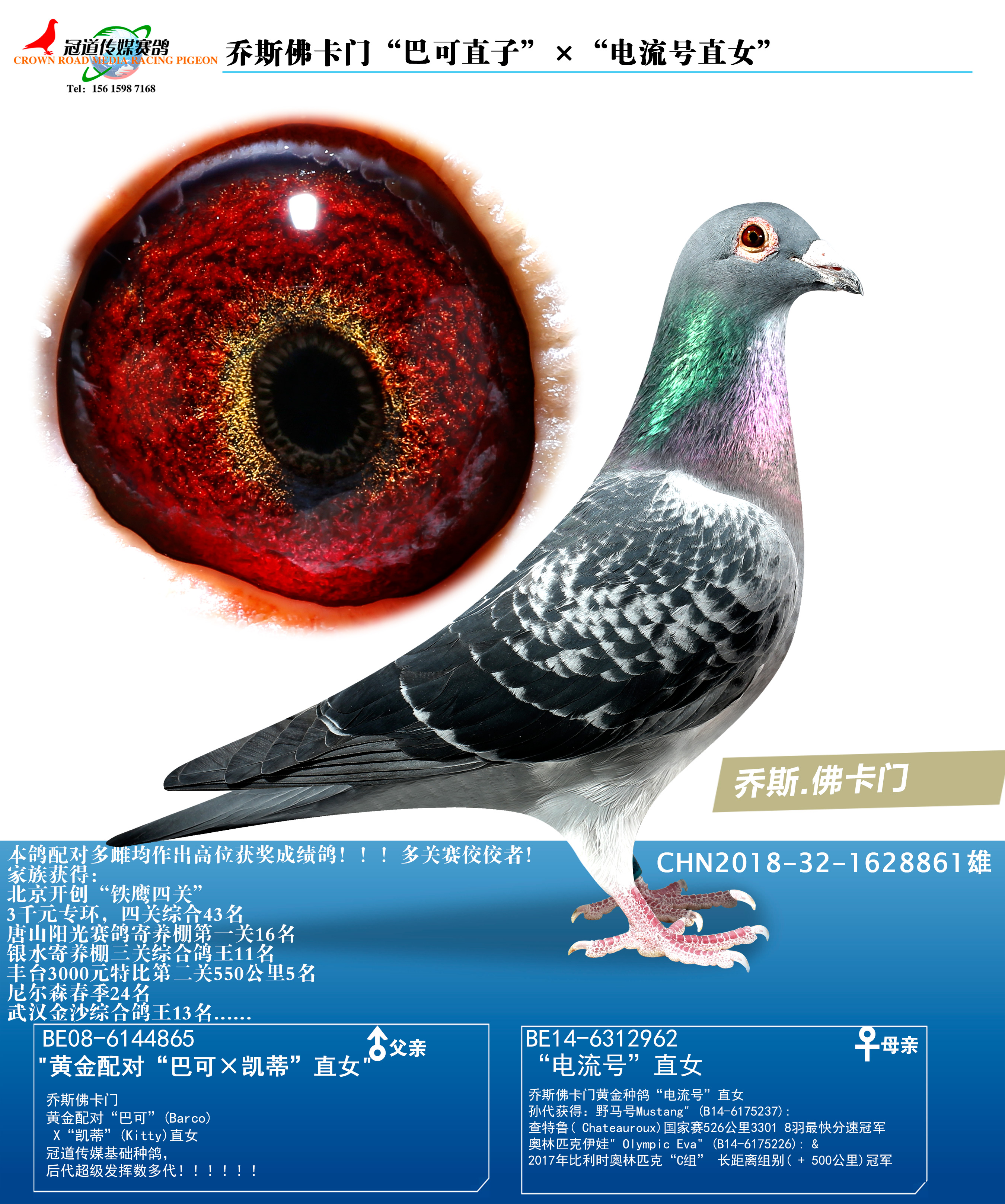 冠道传媒 - 中信网铭鸽展厅