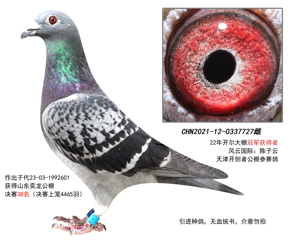 建兴摄影工作室 - 中信网铭鸽展厅