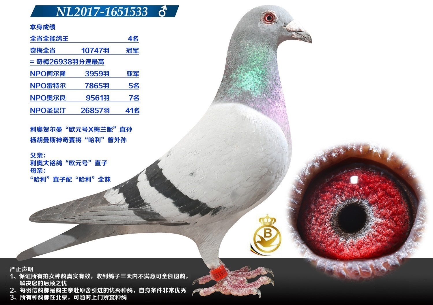北京首开鸽业 - 中信网铭鸽展厅