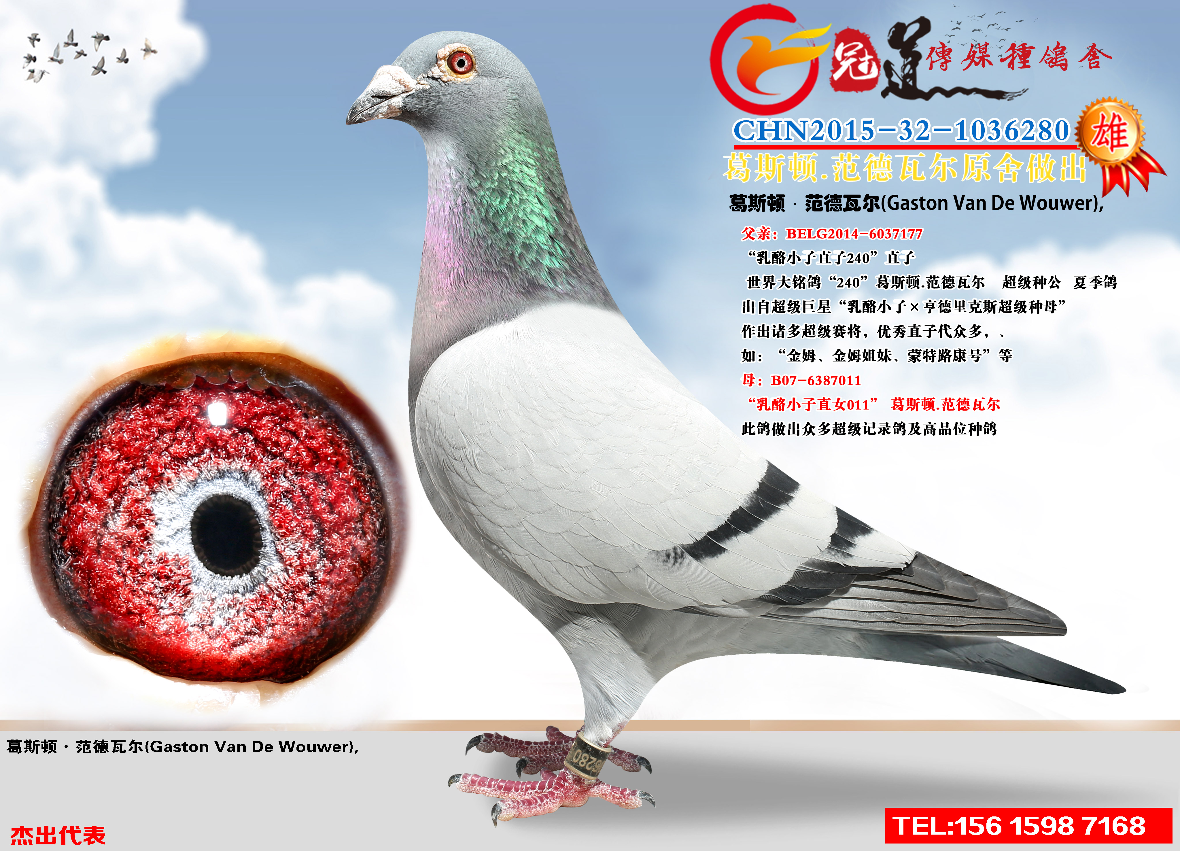 冠道传媒 - 中信网铭鸽展厅